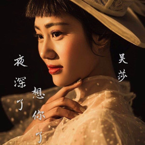 收聽吳莎的夜深了想你了 (完整版)歌詞歌曲