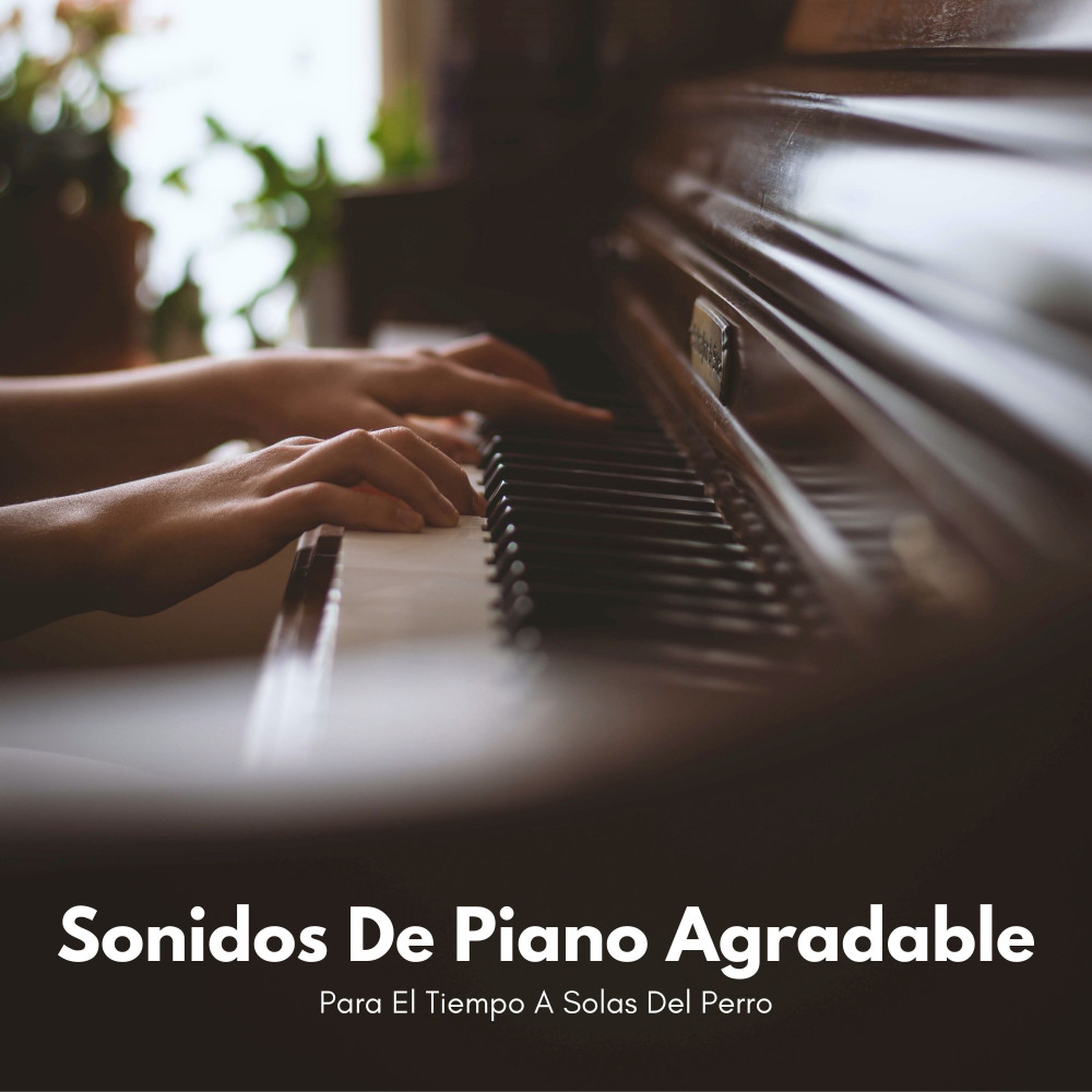 Piano Zen Para El Tiempo De Perro A Solas
