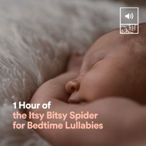 收听Itsy Bitsy Spider的1 Hour of the Itsy Bitsy Spider for Bedtime Lullabies, Pt. 30歌词歌曲