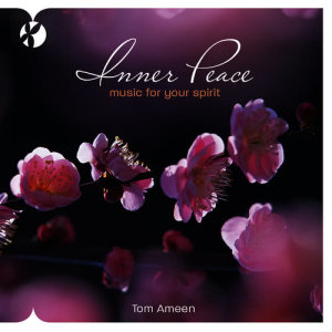 收聽Tom Ameen的Reflections歌詞歌曲