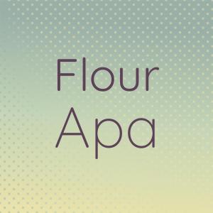 Various Artists的專輯Flour Apa