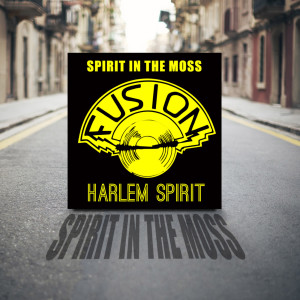 Listen to Dancing Cheek to Cheek song with lyrics from Harlem Spirit