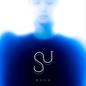 Listen to 請勿打擾 song with lyrics from 苏诗丁
