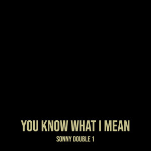 收聽Sonny Double 1的You Know What I Mean (Explicit)歌詞歌曲