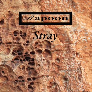 Rapoon的專輯Stray