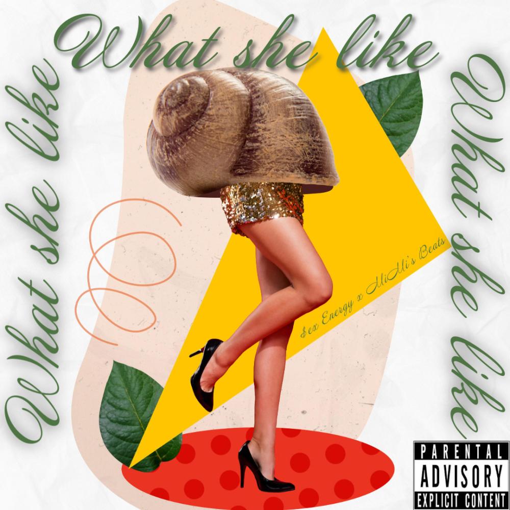 What She Like (Explicit)