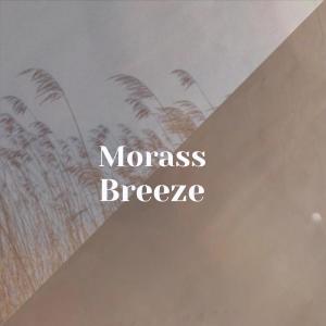 Listen to Morass Breeze song with lyrics from Luzy Zups
