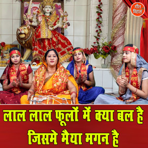 Komal的专辑Laal Laal Phoolon Me Kya Bal Hai Jisme Maiya Magan Hai