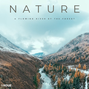 อัลบัม Nature: A Flowing River By The Forest - 1 Hour ศิลปิน One Hour Meditation