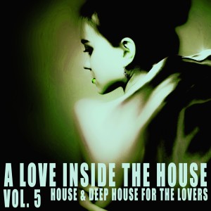 Album A Love Inside the House, Vol. 5 oleh Various