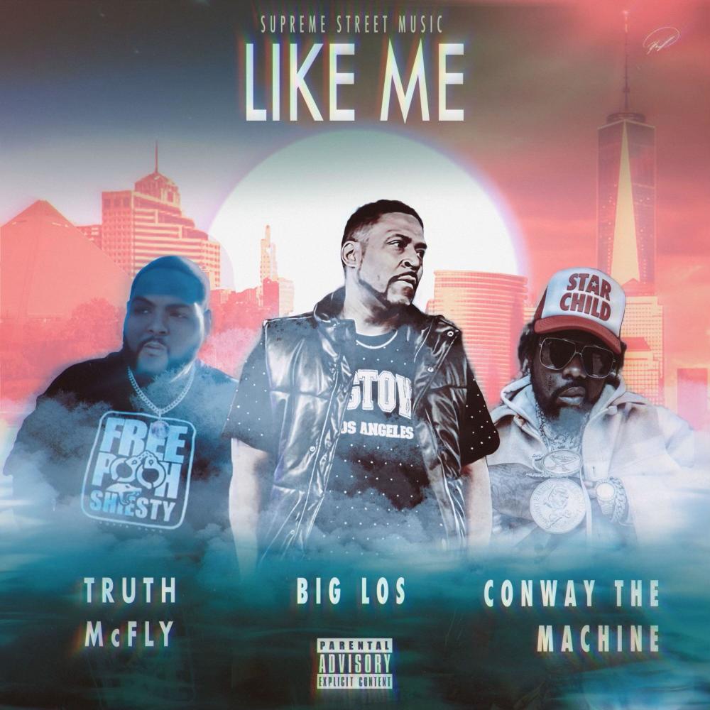 Like Me (feat. CONWAY THE MACHINE & TRUTH MC FLY) (Explicit)