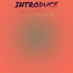 อัลบัม Introduce Wherein ศิลปิน Various