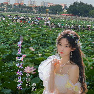 Album 哥是蝴蝶妹是花 from 小仙女素素
