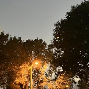 ดาวน์โหลดและฟังเพลง perfect (Explicit) พร้อมเนื้อเพลงจาก weial