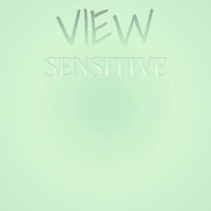 Various Artists的專輯View Sensitive