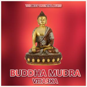 收聽Biddu的Om Nama Shivai歌詞歌曲