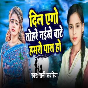 Listen to Dil Ego Tohare Naikhe Bate Hamro Pass Ho song with lyrics from Rani Sawariya