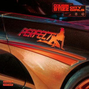 ดาวน์โหลดและฟังเพลง Perfect (Explicit) พร้อมเนื้อเพลงจาก Cousin Stizz