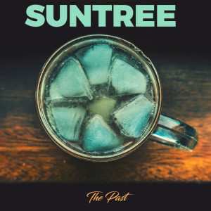 Listen to Singularity song with lyrics from Suntree