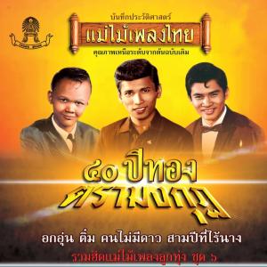 收听ทูล ทองใจ的นางรอง歌词歌曲