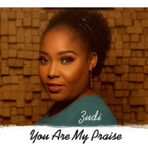 Dengarkan You Are My Praise lagu dari Zudi dengan lirik
