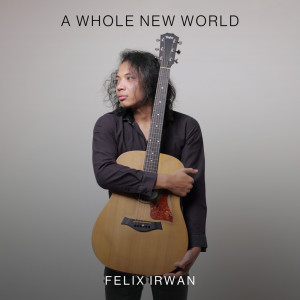 ดาวน์โหลดและฟังเพลง A Whole New World (Acoustic Version) พร้อมเนื้อเพลงจาก Felix Irwan