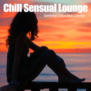 Various Artists的專輯Chill Sensual Lounge