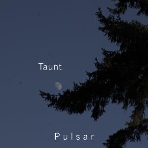 Album Taunt oleh Pulsar