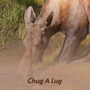 收听Onie Wheeler的Onie's Bop歌词歌曲