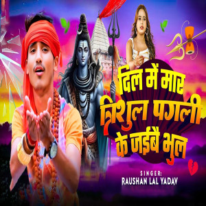 收聽Raushan Lal Yadav的Dil Me Mara Trishul Pagli Ke Jaibe Bhul歌詞歌曲