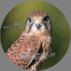 ดาวน์โหลดและฟังเพลง Afterfade พร้อมเนื้อเพลงจาก Nvelope