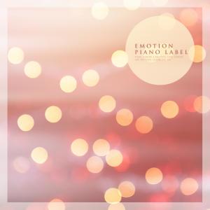 Album A Sleeping Piano Collection With Deep Winter Nights from Various Artists