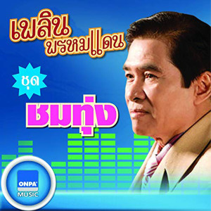 อัลบัม ชมทุ่ง ศิลปิน เพลิน พรหมแดน