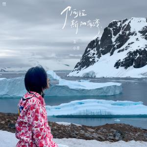 ดาวน์โหลดและฟังเพลง 阿拉斯加海湾 พร้อมเนื้อเพลงจาก 王小草