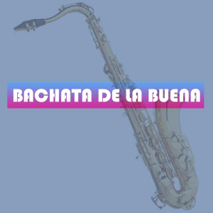 Listen to Hablame de Ti song with lyrics from El Chaval De la Bachata