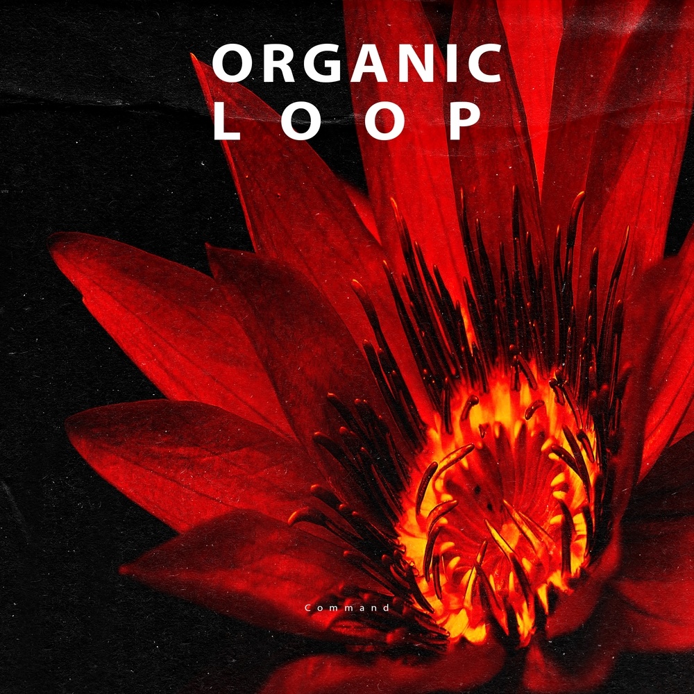 Afro Beat (Original Mix)