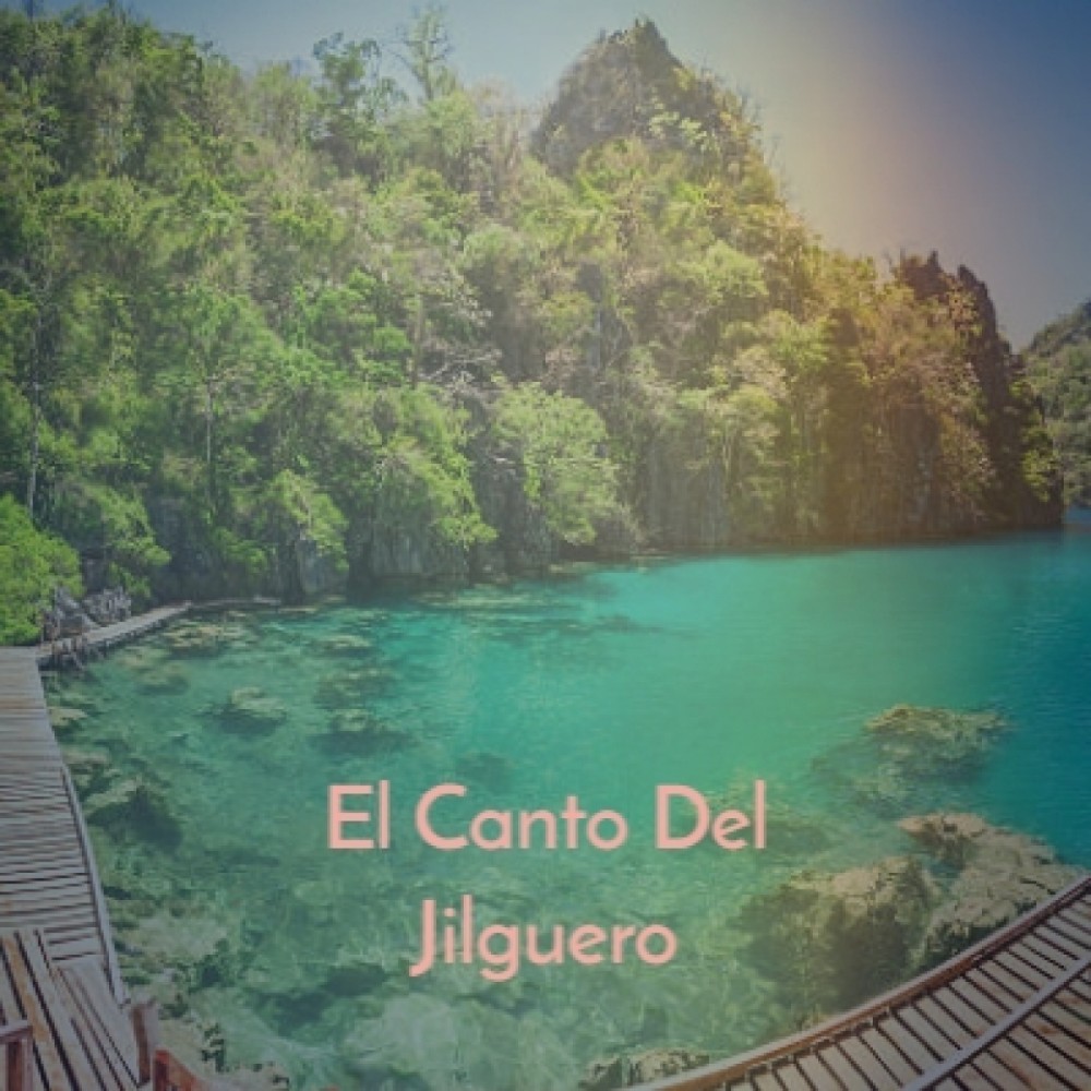 El Canto Del Jilguero