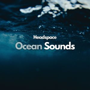 Ocean Wave Sounds的專輯Headspace Ocean Sounds