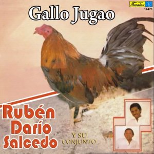 ดาวน์โหลดและฟังเพลง Sufriendo y Llorando พร้อมเนื้อเพลงจาก Rubén Darío Salcedo