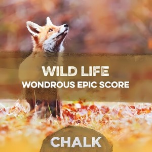 Listen to Natural Habitat song with lyrics from James Alexander Dorman