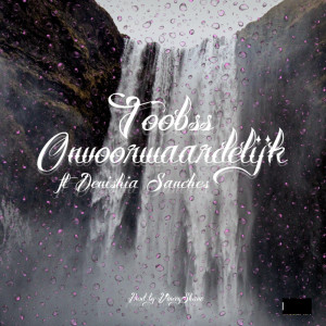 Listen to Onvoorwaardelijk song with lyrics from Toobss