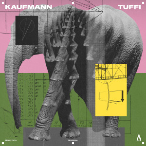 ดาวน์โหลดและฟังเพลง Weird Flex พร้อมเนื้อเพลงจาก Kaufmann (DE)