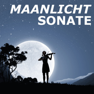 ดาวน์โหลดและฟังเพลง Maanlichtsonate (Pianosonate nr. 14) (gitaarsensemble) พร้อมเนื้อเพลงจาก Maanlichtsonate