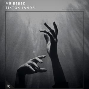 Listen to Gelay Sih song with lyrics from Mr Bebek