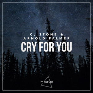 Listen to Cry For You song with lyrics from CJ Stone