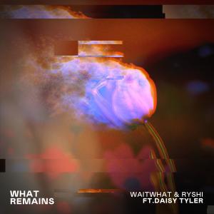 waitwhat的专辑What Remains
