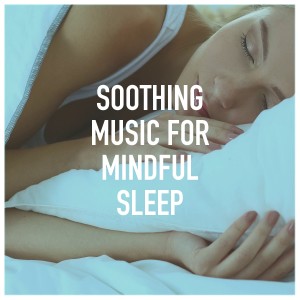 Album Soothing Music for Mindful Sleep from Musica de Relajación Academy