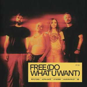 pete tong的專輯Free (Do What U Want)