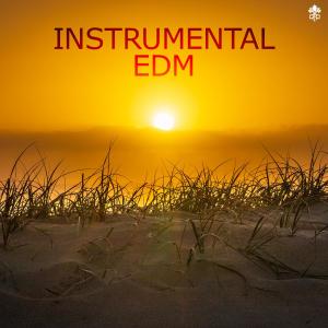 Instrumental EDM dari Various