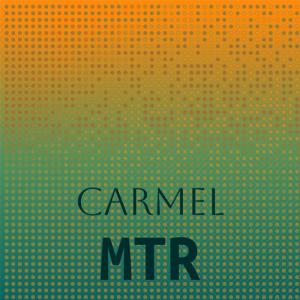 ดาวน์โหลดและฟังเพลง Literally Recent พร้อมเนื้อเพลงจาก Miche Lits